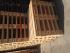 Palet eur